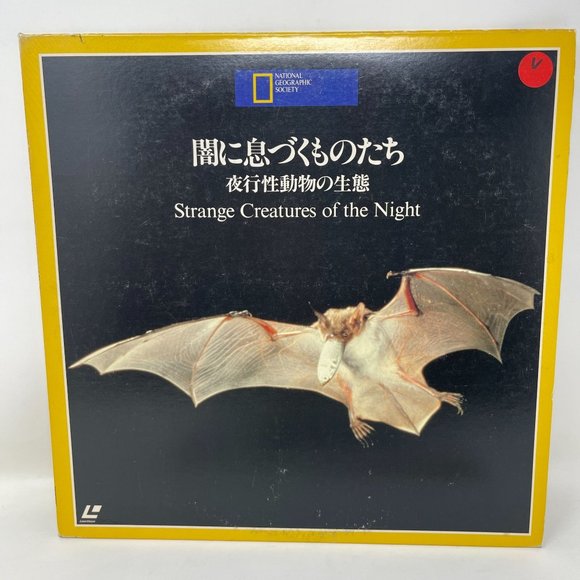 Japanese Laserdisc G98K2823 Strange Creatures‎ of The Night Documentary - Picture 1 of 5